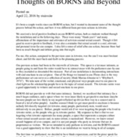 April 22, 2016- Thoughts on BORNS and Beyond.pdf